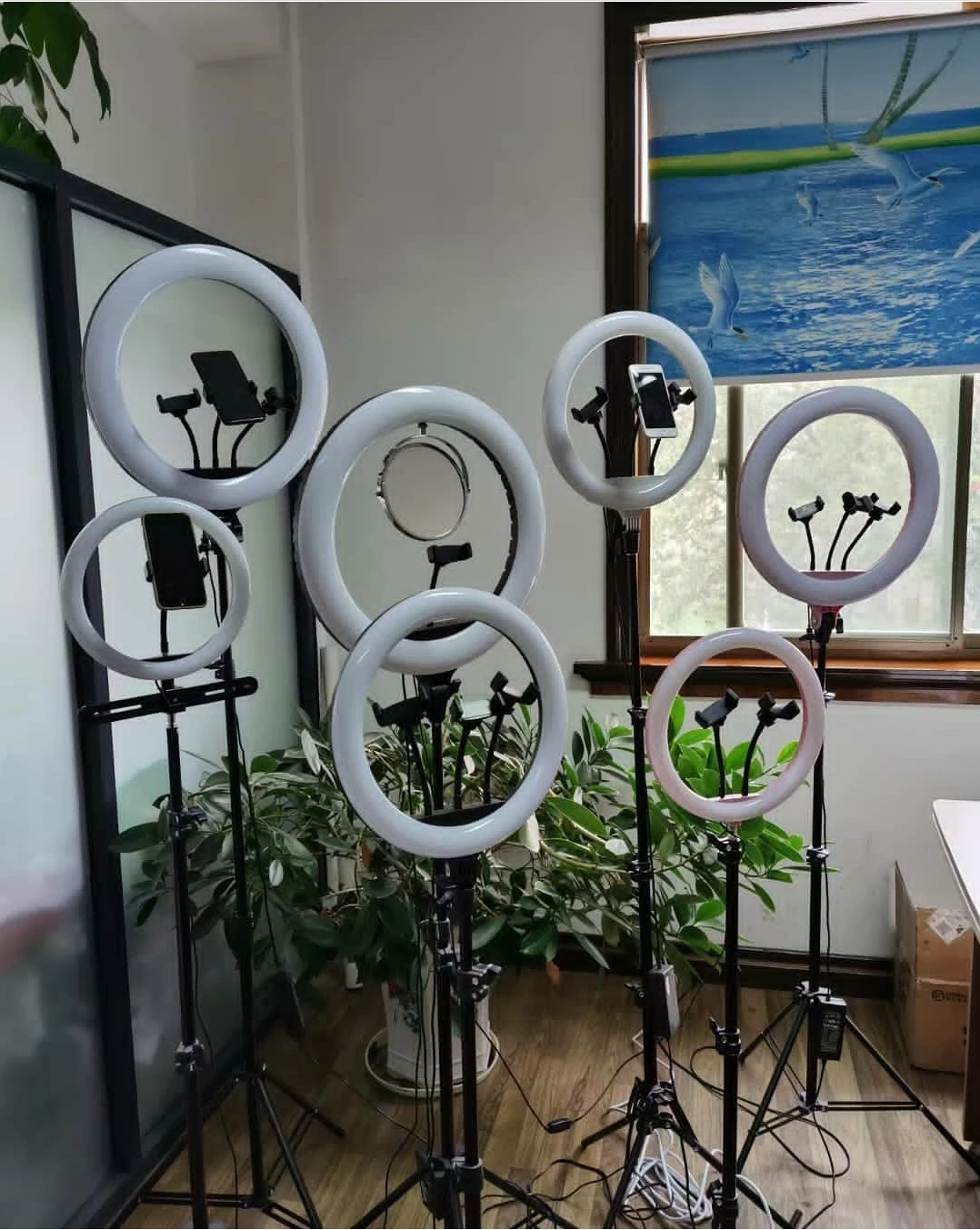 GREAT HAVISGLOBAL & SONS VENTURES